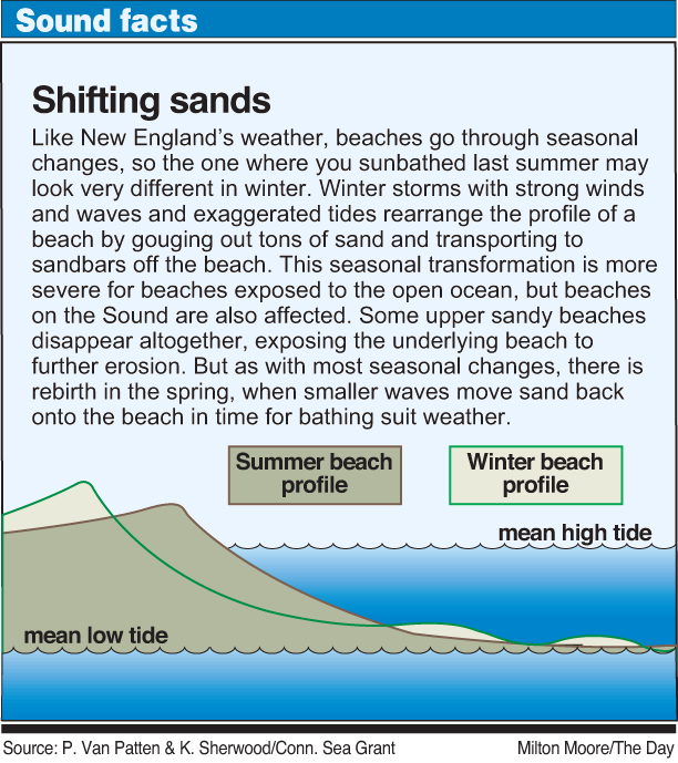 Image shows beach with steeper, higher profile in winter, lower and more beach surface in summer.